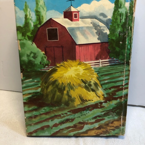Vintage 1960s The Bobbsey Twins in the Country  Whitman publishing - Picture 15 of 16